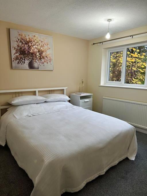 Stylish 2 Bedrooms Flat In A Quiet Cul-De-Sac Area, Near Sheffield City Centre With Free Parking Bagian luar foto